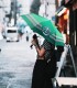 Slytherin Umbrella