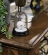 Hedwig Mini Bell Jar Light