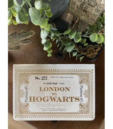 Carnet A5 Premium Harry Potter Ticket Hogwarts Express,  Harry Potter, Boutique Harry Potter, The Wizard's Shop