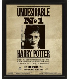 Cadre 3D Lenticulaire Harry Potter Sirius Black