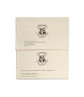 Set of 2 Hogwarts tea towels - Acceptance Letter