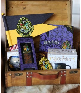 Mystery Box Poudlard,  Harry Potter, Boutique Harry Potter, The Wizard's Shop