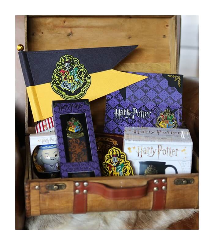 Cube mystère Voyage à Poudlard - Harry Potter