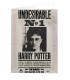 Carte de voeux lenticulaire Harry Potter Indésirable No.1,  Harry Potter, Boutique Harry Potter, The Wizard's Shop