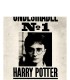 Lenticular Undesirable Harry Potter No.1 Greeting Card
