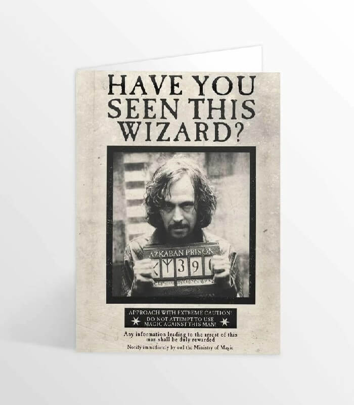 Have You Seen This Wizard? – Mais um Leitor