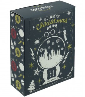 Harry Potter accessories advent calendar