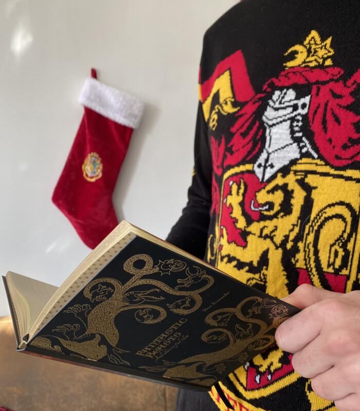Serdaigle: Le Pull de Noël Pour les Fans de Harry Potter