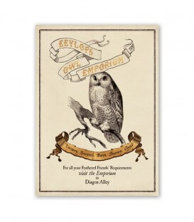 Poster Eeylops Owl Emporium Harry Potter,  Harry Potter, Boutique Harry Potter, The Wizard's Shop