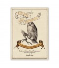 Eeylops Owl Emporium Harry Potter Poster