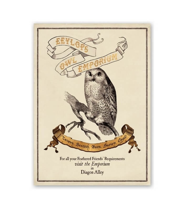 Eeylops Owl Emporium Harry Potter Poster - Boutique Harry Potter