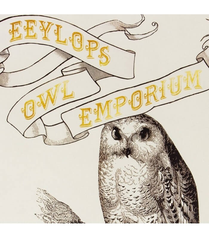 Eeylops Owl Emporium