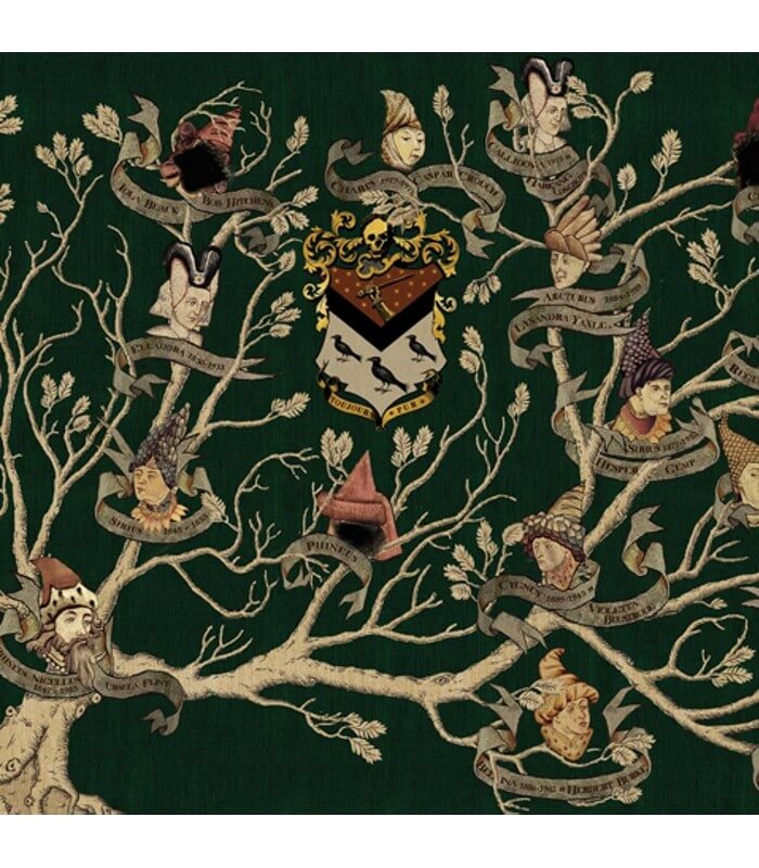 Muggles can now buy magical Harry Potter wallpaper  including the Black  family tree  Edinburgh Live