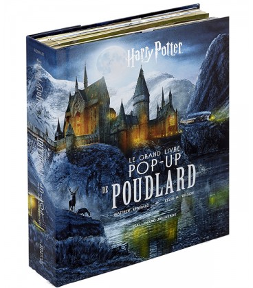 Le grand livre pop-up de Poudlard,  Harry Potter, Boutique Harry Potter, The Wizard's Shop