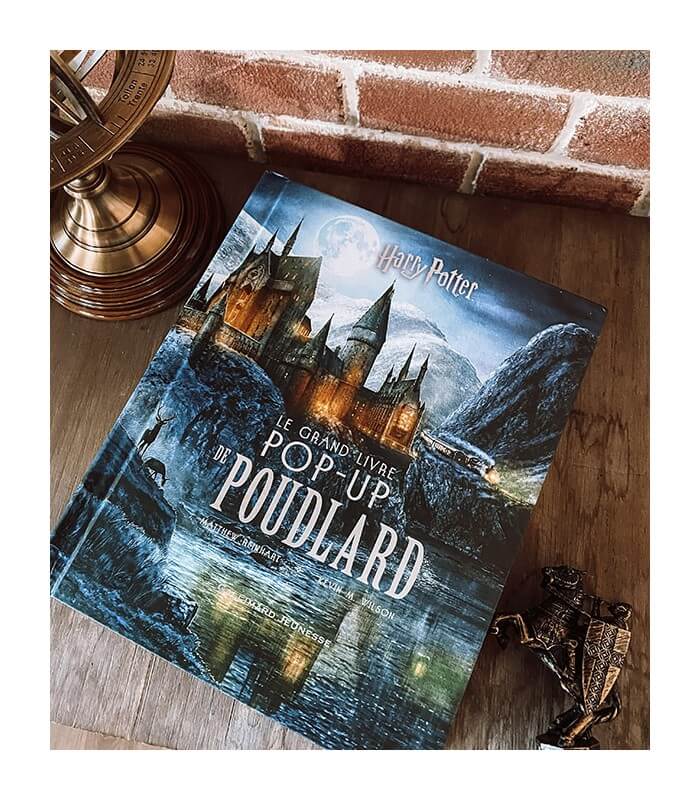 Le grand livre Pop-up de Poudlard, Harry Potter