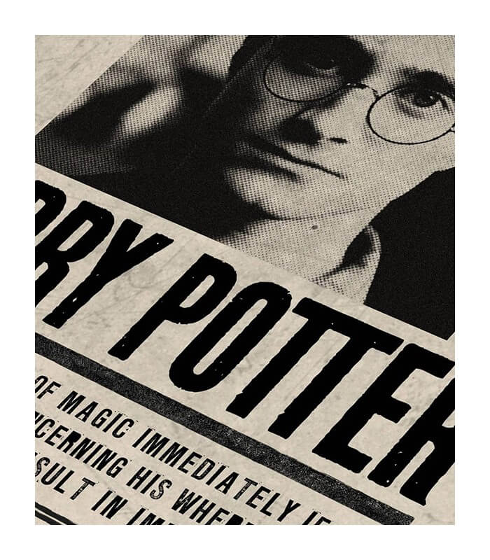 Harry Potter - Undesirable No 1 Poster 24 x 36 inches