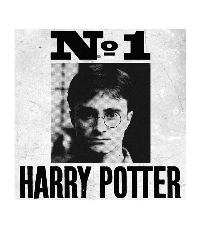 Affiches & posters Boutique Harry Potter