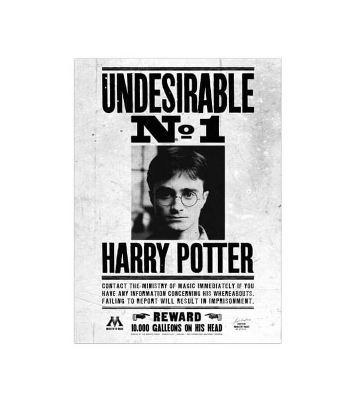 Harry Potter Hermione Granger Poster 24X36 inches