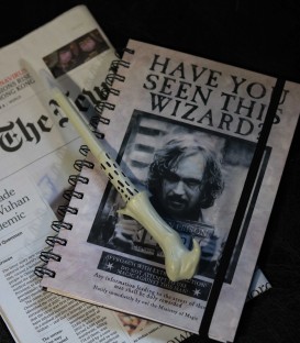 Voldemort Wand Pen