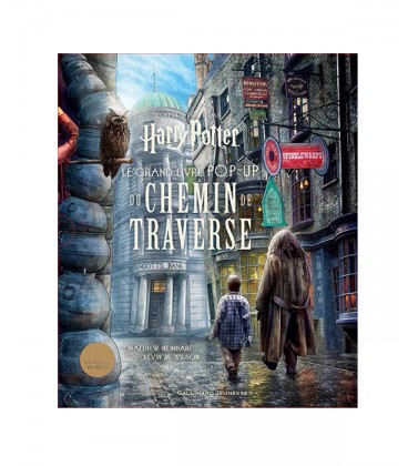 Le grand livre pop-up du Chemin de Traverse,  Harry Potter, Boutique Harry Potter, The Wizard's Shop