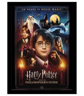 20 Years of Movie Magic Harry Potter framed poster