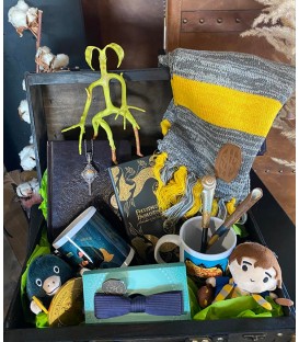Mystery Box Animaux Fantastiques,  Harry Potter, Boutique Harry Potter, The Wizard's Shop