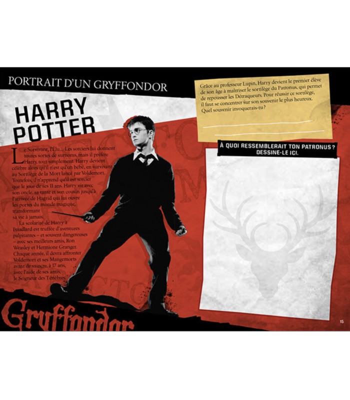 Harry Potter: Le journal Créatif french edition - Boutique Harry