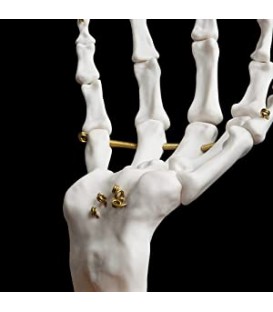 Skeleton Hand Jewellery Tidy - Suck UK