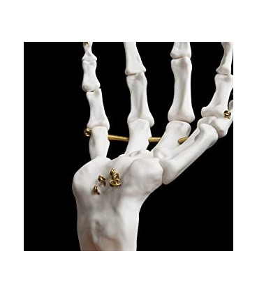Skeleton Hand Jewellery Tidy - Suck UK
