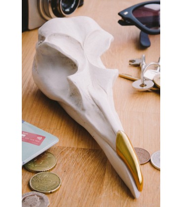 Crâne d'Oiseau Range Bijoux - Suck UK,  Harry Potter, Boutique Harry Potter, The Wizard's Shop
