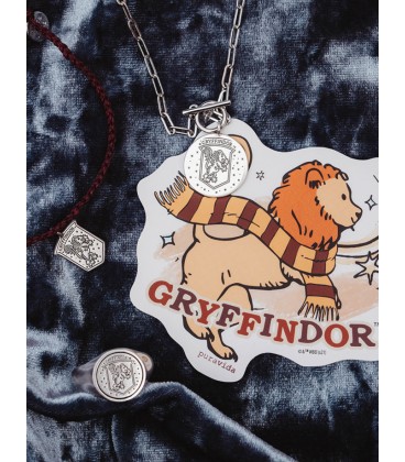 Collier et Medaille Maison Gryffondor - Puravida Harry Potter,  Harry Potter, Boutique Harry Potter, The Wizard's Shop