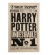 Torchon - The Daily Prophet - Harry Potter Undesirable No.1,  Harry Potter, Boutique Harry Potter, The Wizard's Shop