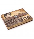 Artifact Box - Harry Potter