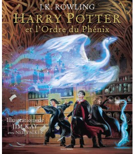 Livre Harry Potter et l'Ordre du Phénix Illustration de Jim Kay,  Harry Potter, Boutique Harry Potter, The Wizard's Shop