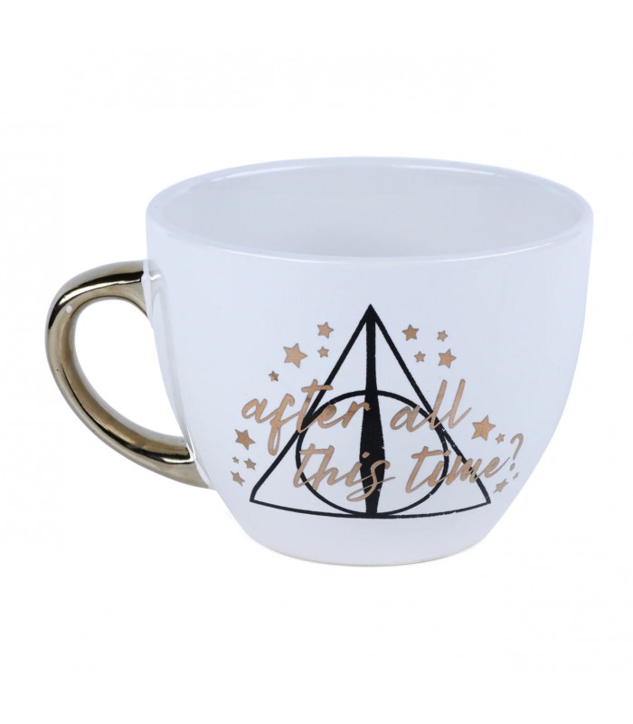 Dans cette maison, nous croyons que la tasse magique - Harry Potter -  Cadeau de fête | bol