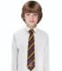 Cravate Enfants - Gryffondor,  Harry Potter, Boutique Harry Potter, The Wizard's Shop