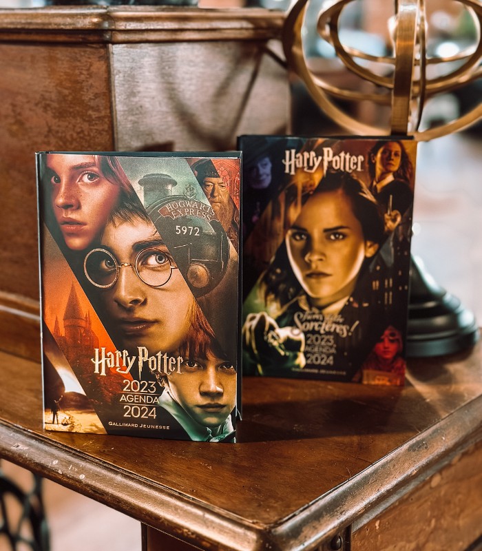 Harry Potter - Mon calendrier organiseur Harry Potter 2023-2024