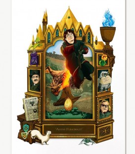 Carte Postale "Accio Firebolt!",  Harry Potter, Boutique Harry Potter, The Wizard's Shop