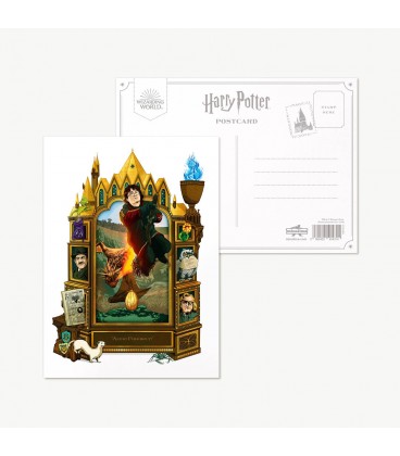 Carte Postale "Accio Firebolt!",  Harry Potter, Boutique Harry Potter, The Wizard's Shop