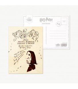 Carte Postale "Message au Professeur Rogue...".,  Harry Potter, Boutique Harry Potter, The Wizard's Shop