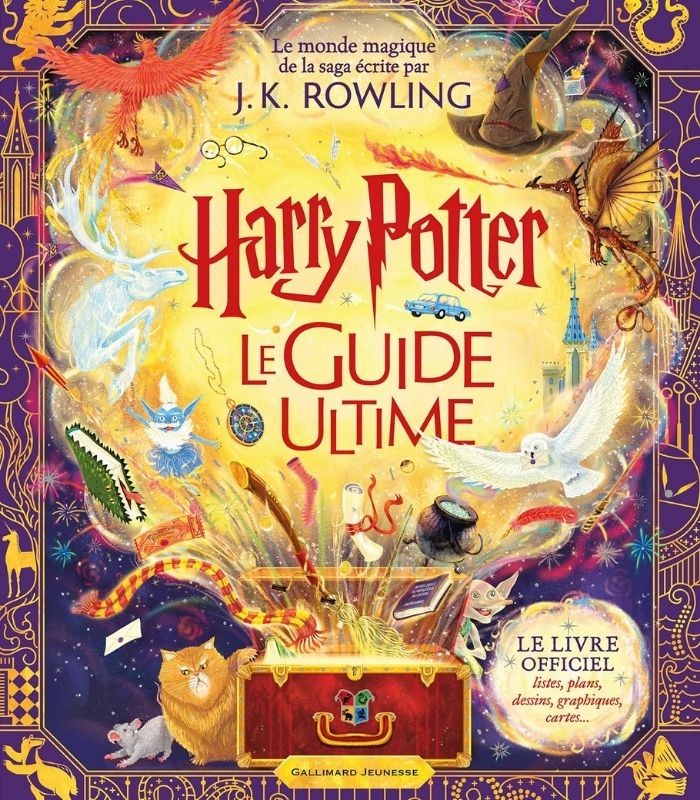 Harry Potter - La Cérémonie Du Choixpeau (French Edition) : Book b23hp04fr
