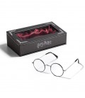 Harry Potter Glasses Case Fantastic Beast Glasses Case Botanical