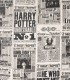 Housse de coussin "The Daily Prophet" Harry Potter,  Harry Potter, Boutique Harry Potter, The Wizard's Shop