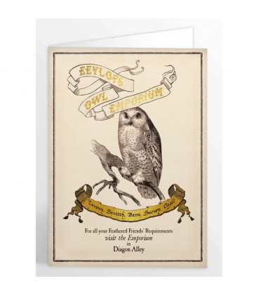 Carte de voeux Eeylops Owl Emporium - Harry Potter,  Harry Potter, Boutique Harry Potter, The Wizard's Shop