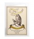 Carte de voeux Eeylops Owl Emporium - Harry Potter,  Harry Potter, Boutique Harry Potter, The Wizard's Shop