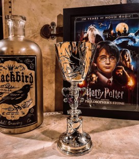 Dumbledore Cup