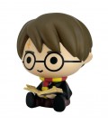 Harry Potter & the Book of Potions Money Box