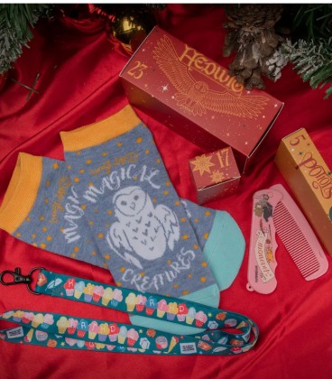 Harry Potter Deluxe advent calendar 2024