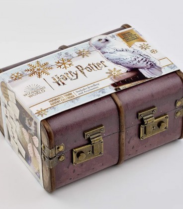 Calendrier de l’avent - Bijoux et Accessoires 2024 - Harry Potter,  Harry Potter, Boutique Harry Potter, The Wizard's Shop