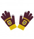 Gryffindor purple and gold tactile gloves